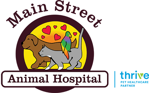 Main Street Animal Hospital